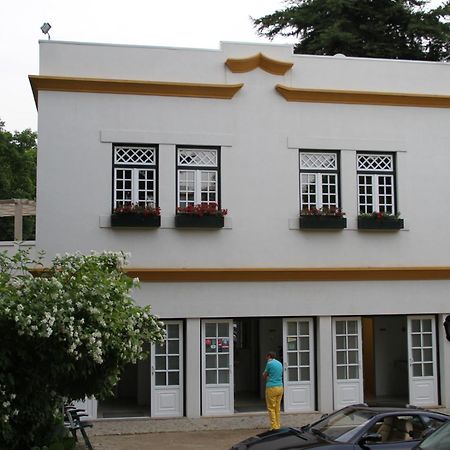 Camping Lamego Douro Valley Kültér fotó