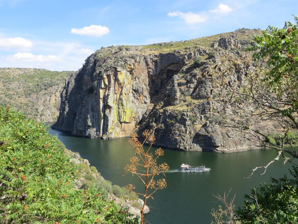 Camping Lamego Douro Valley Kültér fotó