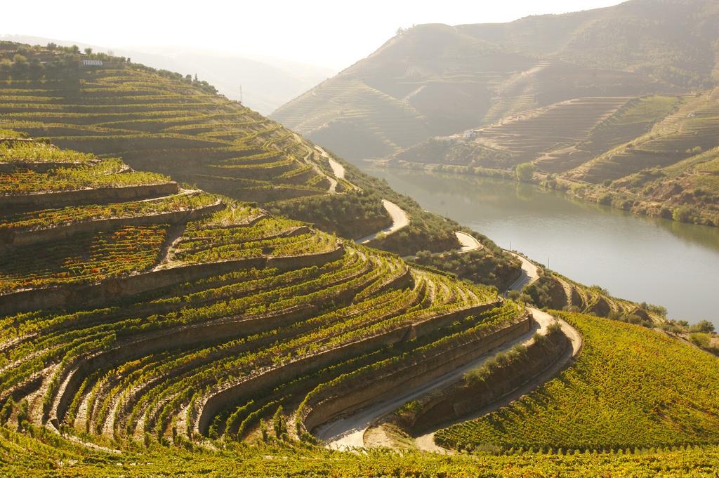Camping Lamego Douro Valley Kültér fotó