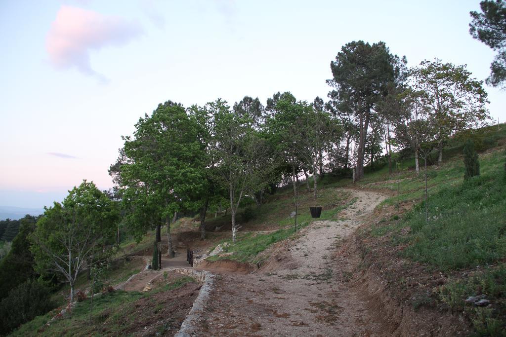 Camping Lamego Douro Valley Kültér fotó