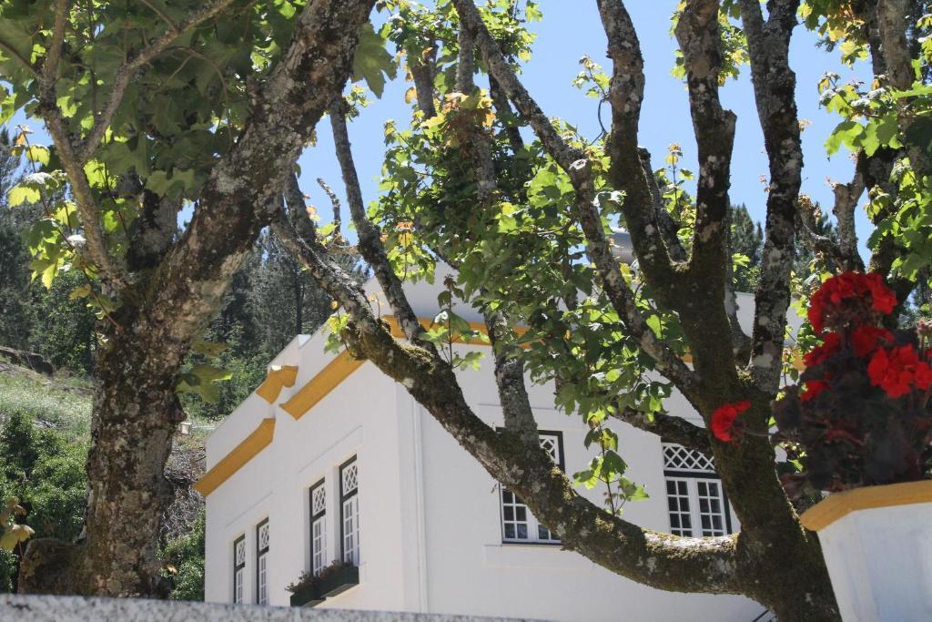 Camping Lamego Douro Valley Kültér fotó