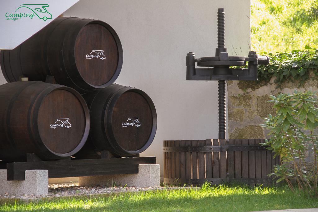 Camping Lamego Douro Valley Kültér fotó